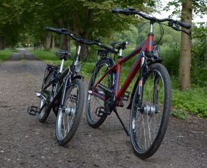 Velo de Ville Bikes Germany For kids Schloss Leizen